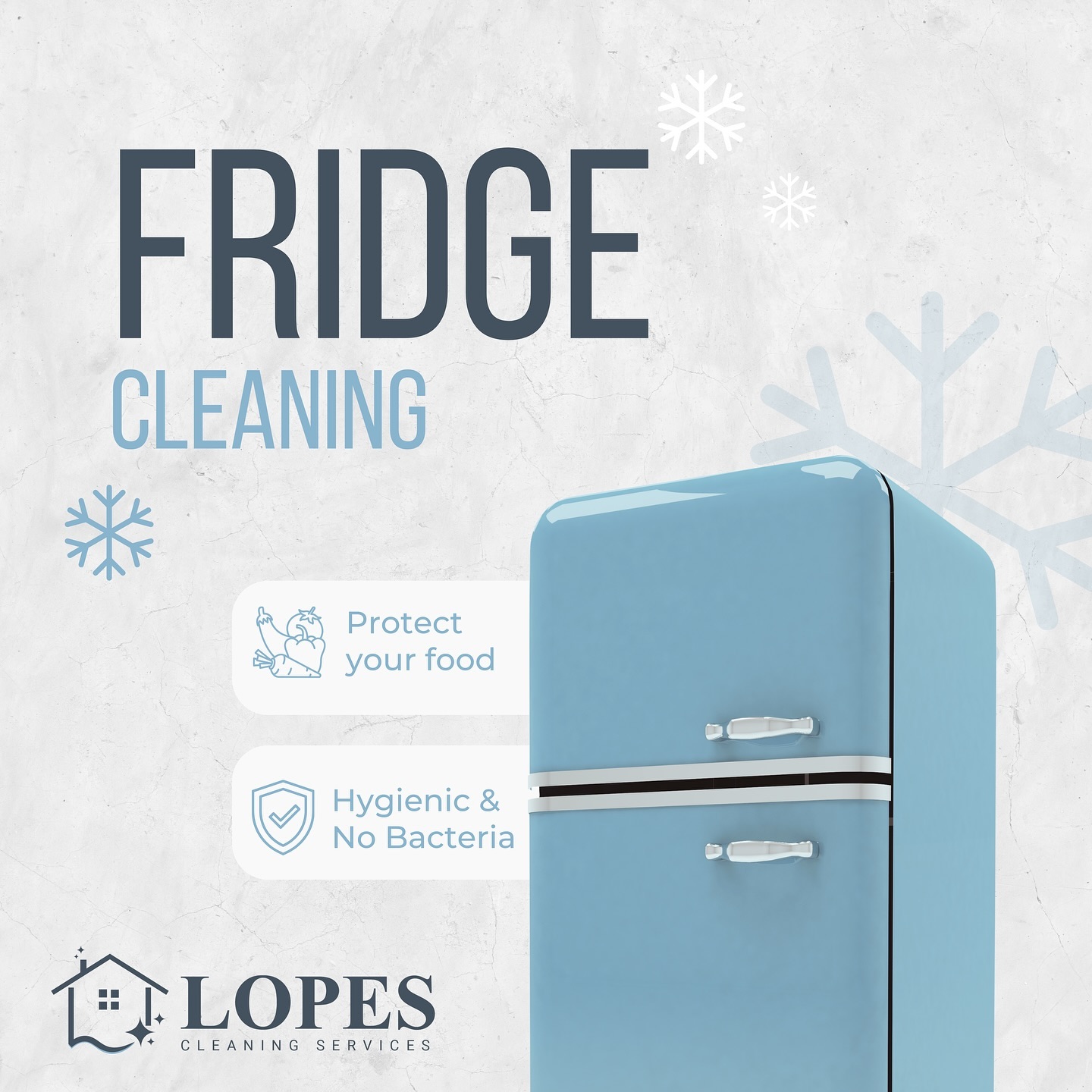 Fridge Cleaning Service